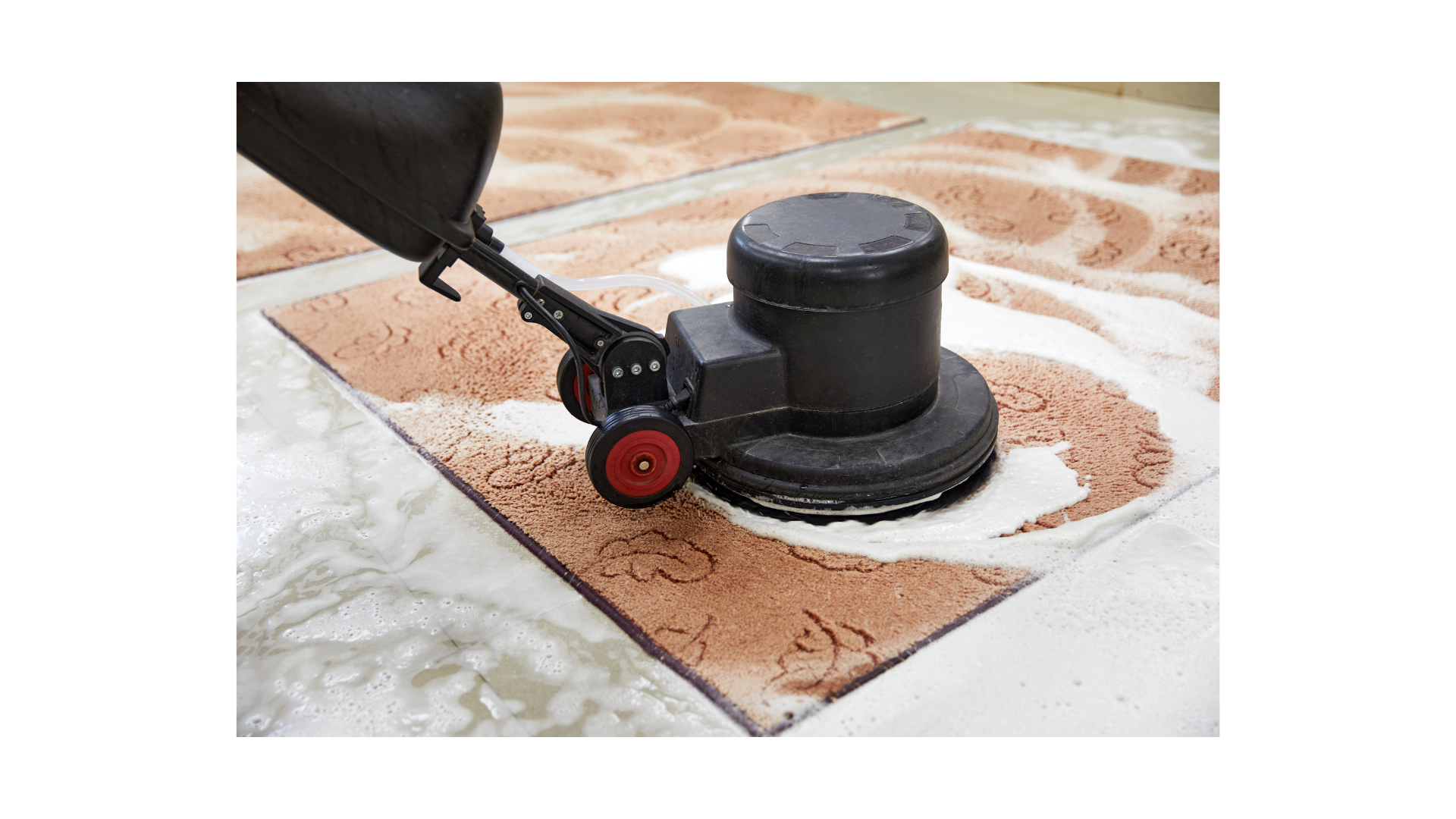 تنظيف موكيت بالرياض 